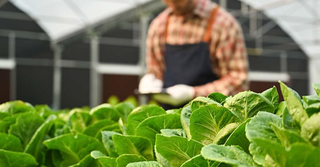 El Consejo de Ministros aprueba ayudas de 100 millones para impulsar la integración de cooperativas agroalimentarias